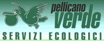 Pellicano Verde